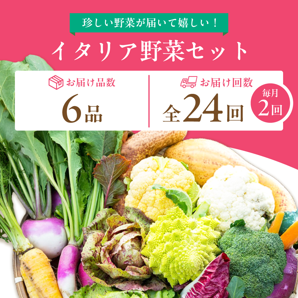 【6品 / 24回定期便】農薬に頼らない！カラダにやさしい「イタリア野菜」セット（ショート）吉野ヶ里町/吉野ヶ里あいちゃん農園[FAA015]