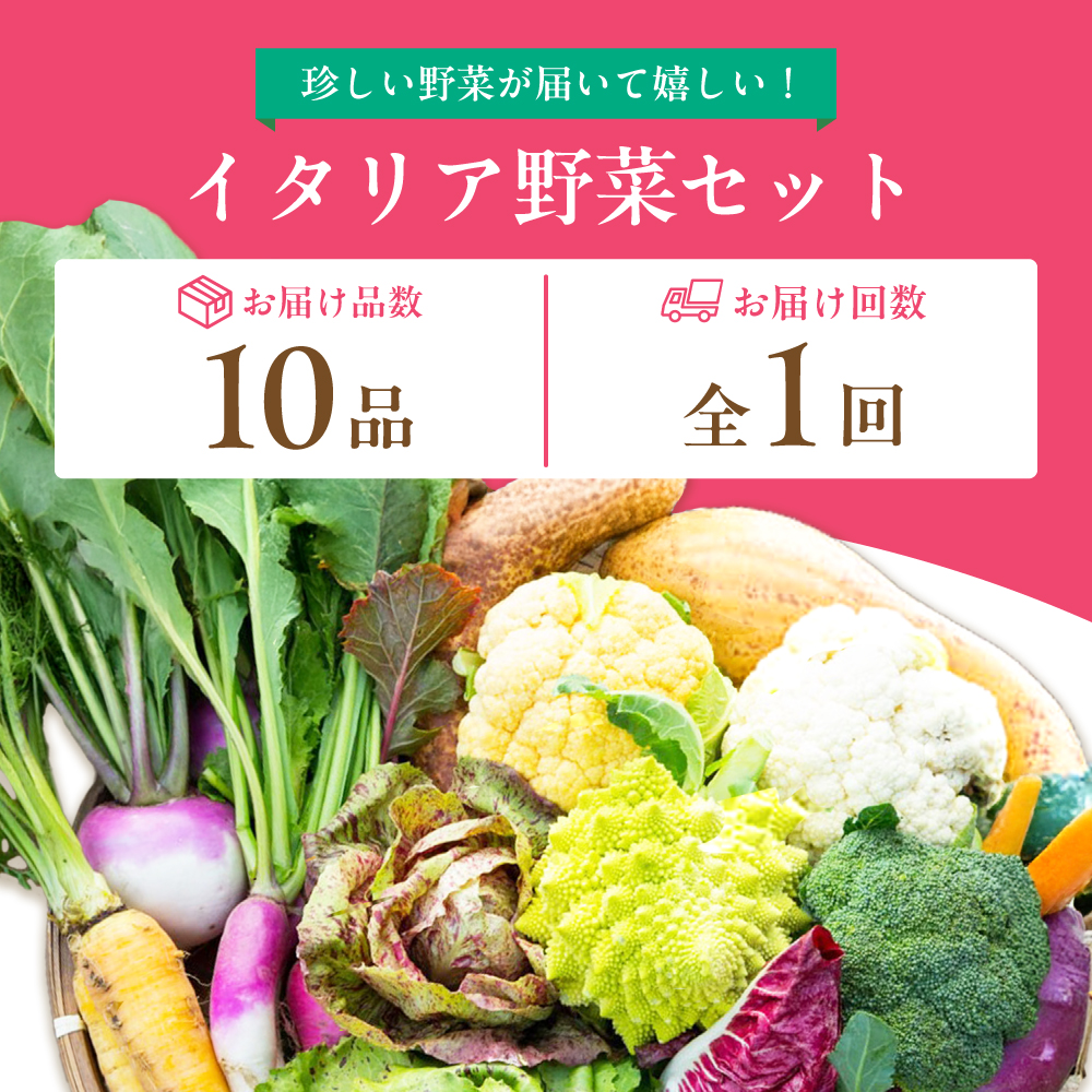 【10品】農薬に頼らない！カラダにやさしい「イタリア野菜」セット（レギュラー）【吉野ヶ里あいちゃん農園】[FAA017]