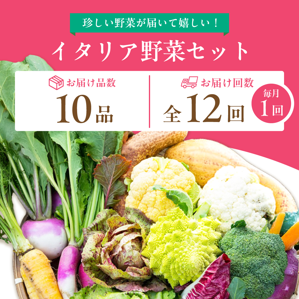 【10品×12回定期便】農薬に頼らない！カラダにやさしい「イタリア野菜」セット（レギュラー）【吉野ヶ里あいちゃん農園】[FAA018]
