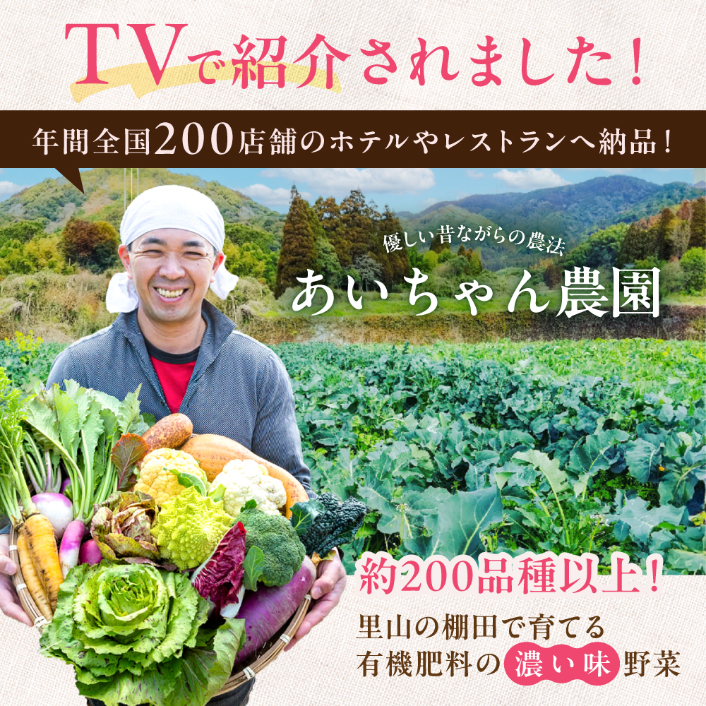 【12品×12回定期便】農薬に頼らない！カラダにやさしい「イタリア野菜」セット（ラージ）【吉野ヶ里あいちゃん農園】[FAA022]