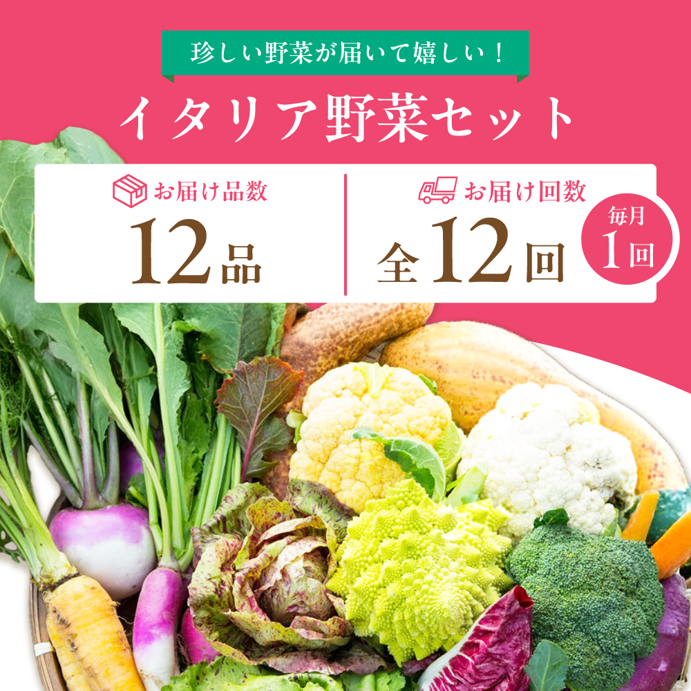 【12品×12回定期便】農薬に頼らない！カラダにやさしい「イタリア野菜」セット（ラージ）【吉野ヶ里あいちゃん農園】[FAA022]