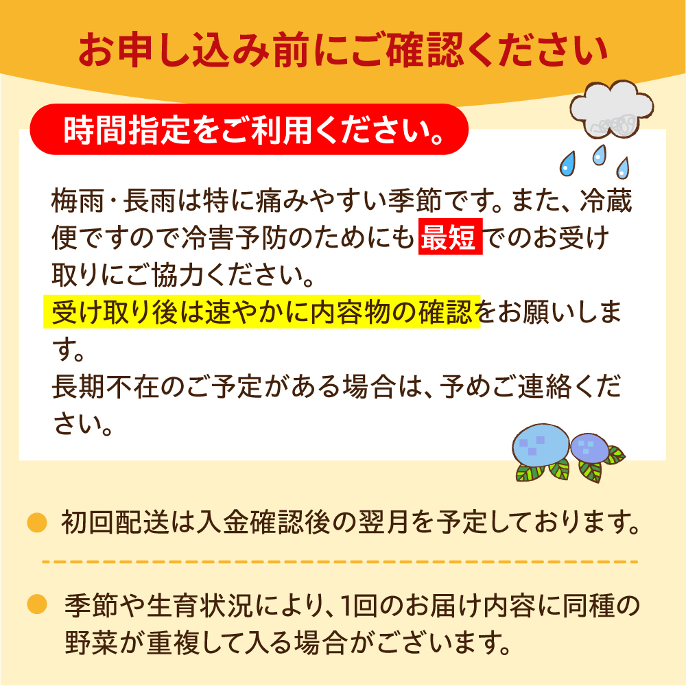 【12品×12回定期便】農薬に頼らない！カラダにやさしい「イタリア野菜」セット（ラージ）【吉野ヶ里あいちゃん農園】[FAA022]