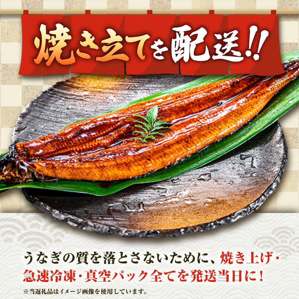 九州産 国産うなぎ 贅沢鰻づくしセット（蒲焼 白焼 骨せんべい 肝煮込み 雛あられ） 吉野ヶ里町/丸安 [FAD025]