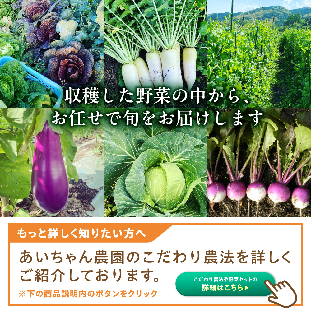 【8品】「使いやすい野菜」×「珍しいイタリア野菜」食べ比べセット【吉野ヶ里あいちゃん農園】[FAA025]