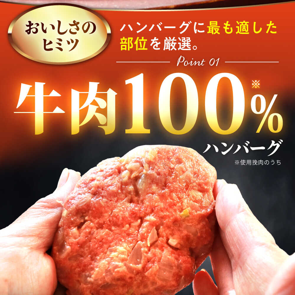 100％佐賀牛！佐賀牛デミハンバーグ 150g×10個 吉野ヶ里町/株式会社博多漁師の里 [FDV001]