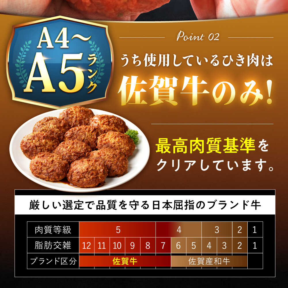 100％佐賀牛！佐賀牛デミハンバーグ 150g×10個 吉野ヶ里町/株式会社博多漁師の里 [FDV001]