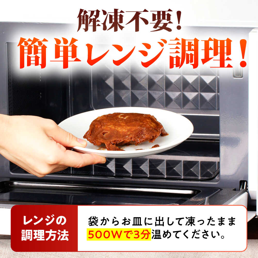 100％佐賀牛！佐賀牛デミハンバーグ 150g×10個 吉野ヶ里町/株式会社博多漁師の里 [FDV001]