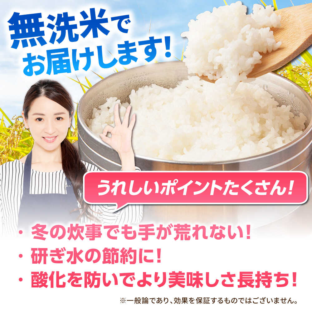 特A獲得！さがびより 無洗米 9kg 吉野ヶ里町/大塚米穀店 [FCW039]