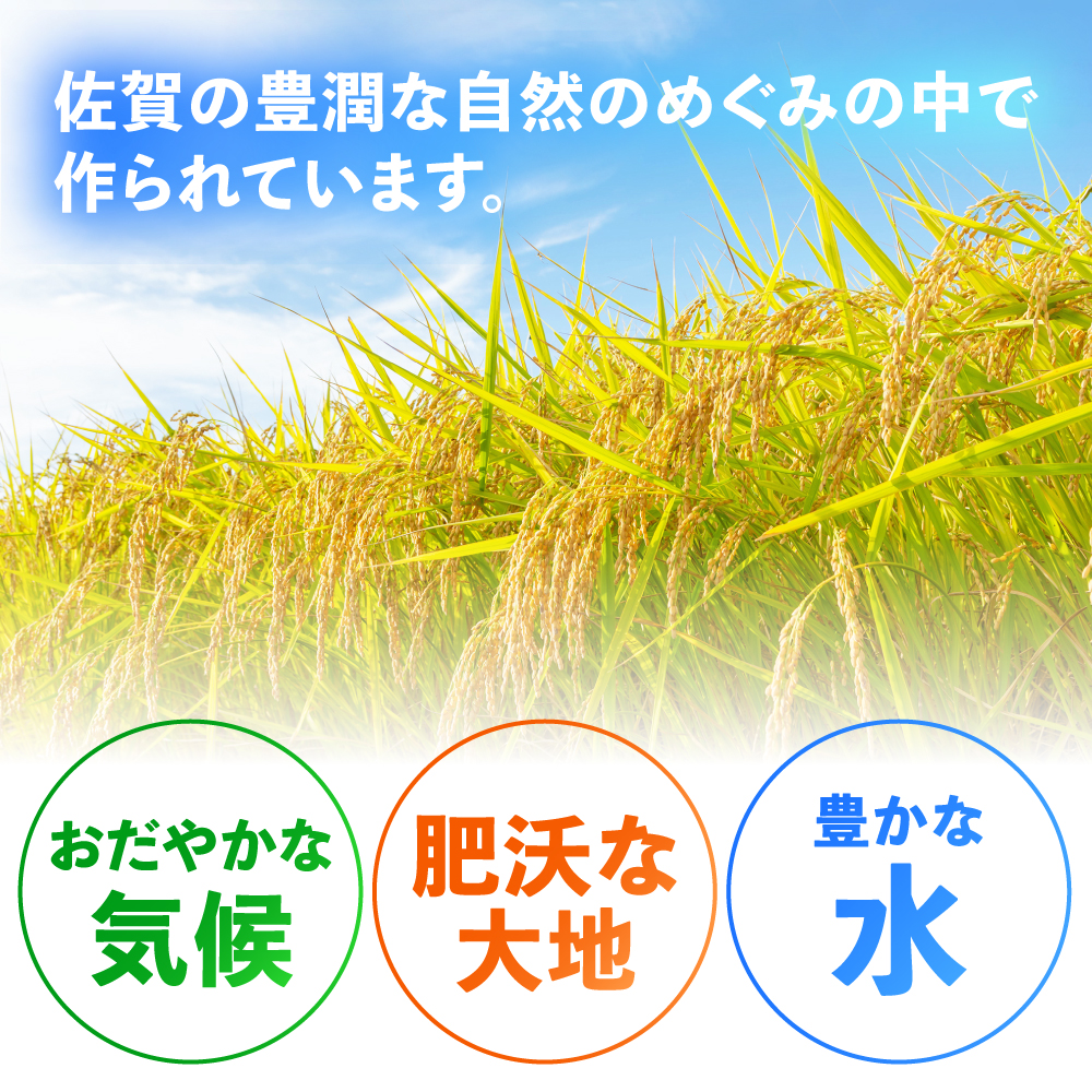 【令和7年産】特A獲得！さがびより 無洗米 6kg（3kg×2袋） 吉野ヶ里町/大塚米穀店 [FCW026]
