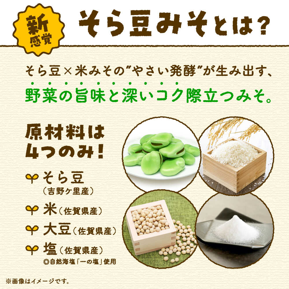 そら豆味噌 450g×3個 生みそ 高オレイン酸大豆 一の塩 そら豆 吉野ヶ里町/イデマン味噌醤油醸造元 [FAF035]