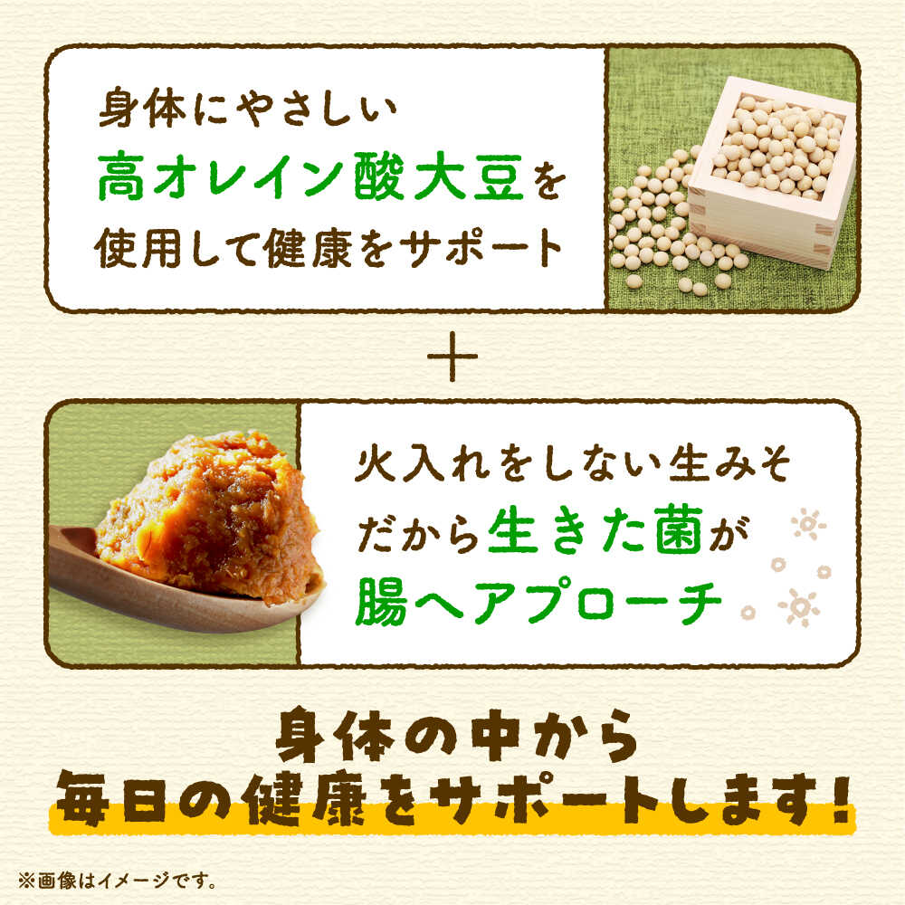 そら豆味噌 450g×3個 生みそ 高オレイン酸大豆 一の塩 そら豆 吉野ヶ里町/イデマン味噌醤油醸造元 [FAF035]