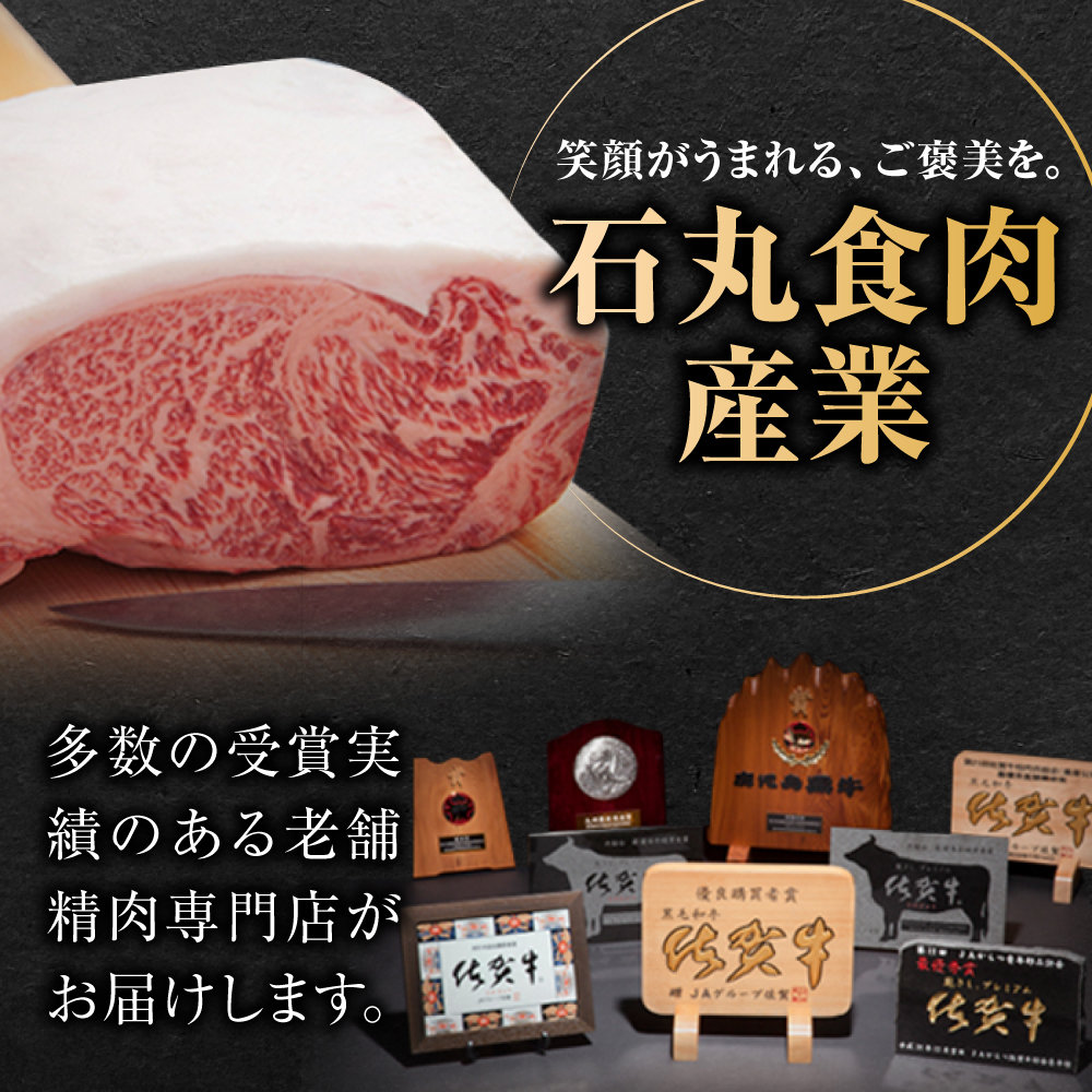 佐賀県産黒毛和牛 切り落とし 500g×1P 吉野ヶ里町/石丸食肉産業 [FBX050]