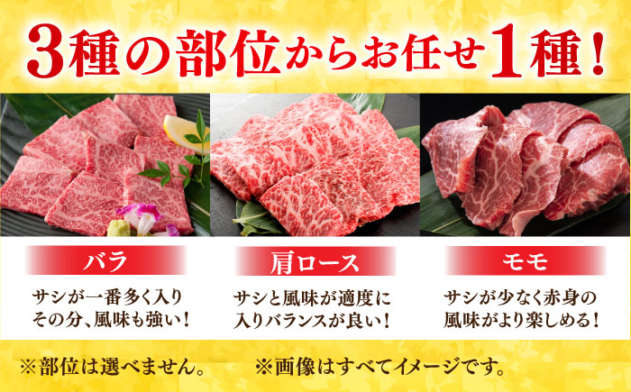 【3回定期便】 艶さし！ 佐賀牛 焼肉用 計1.5kg （500g×3回） ※バラ・肩ロース・モモのいずれかの部位※ 吉野ヶ里町 [FDB033]