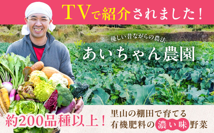 【12品×24回定期便】「使いやすい野菜」×「珍しいイタリア野菜」食べ比べセット【吉野ヶ里あいちゃん農園】[FAA031]