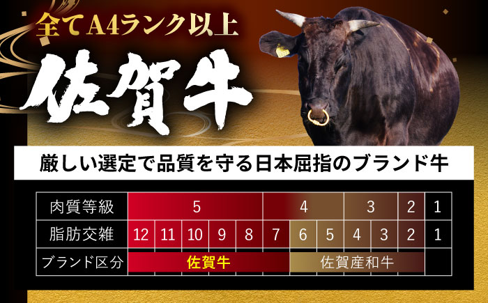 佐賀牛 切り落とし 2kg（500g×4）吉野ヶ里町 / ミートフーズ華松 [FAY108]