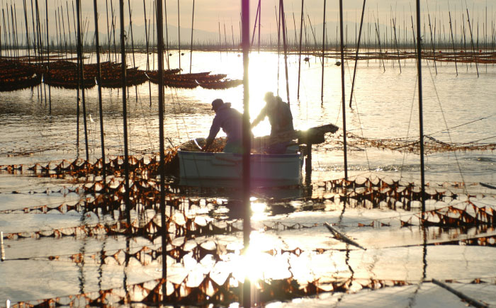 【焼きのり】佐賀海苔ボトル（10切40枚）2本セット 株式会社サン海苔/吉野ヶ里町 [FBC025]