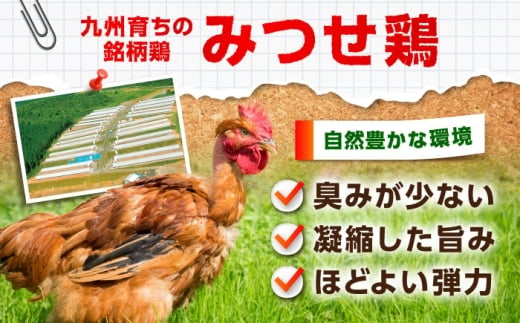 【スピード発送】 みつせ鶏本舗 焼きつくね串 計12本 (4本220g×3袋) 吉野ヶ里町/ヨコオフーズ [FAE207]