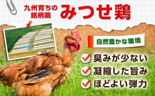 【スピード発送】 みつせ鶏 炭火焼 100g×6袋 吉野ヶ里町/ヨコオフーズ [FAE208]