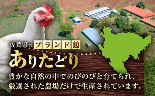 ありたどり むね肉 2kg × 2袋 計 4kg 鶏肉 鶏むね肉 吉野ヶ里町/上場食肉 [FDQ001]