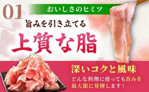 肥前さくらポーク 切り落とし 500g × 2パック 計 1kg 切り落とし 豚 豚肉 吉野ヶ里町/上場食肉 [FDQ006]