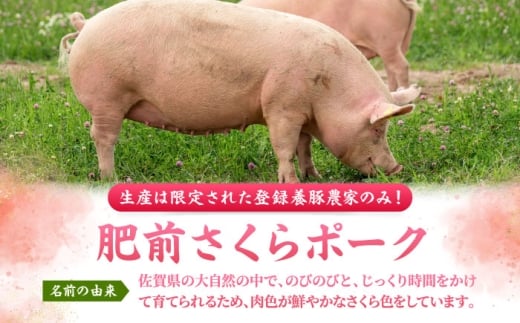 肥前さくらポーク 切り落とし 500g × 2パック 計 1kg 切り落とし 豚 豚肉 吉野ヶ里町/上場食肉 [FDQ006]