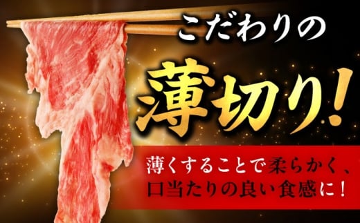 佐賀牛 切り落とし 400g × 2パック 計 800g 牛肉 肉 小分け 吉野ヶ里町/上場食肉 [FDQ009]