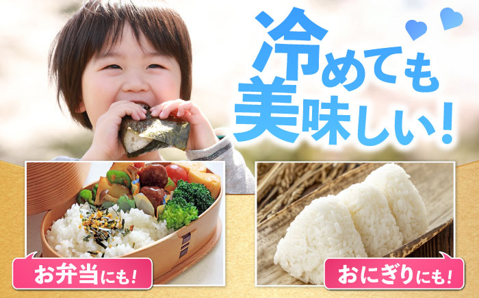 【全3回定期便】特A獲得！さがびより 白米 6kg　総計18kg 吉野ヶ里町/大塚米穀店 [FCW034]