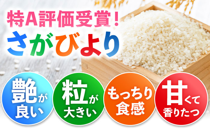【全6回定期便】特A獲得！さがびより 白米 6kg　総計36kg 吉野ヶ里町/大塚米穀店 [FCW035]