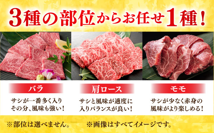 艶さし！ 佐賀牛 焼肉用（バラor肩orモモのいずれか1種）800g 吉野ヶ里町 [FDB077]