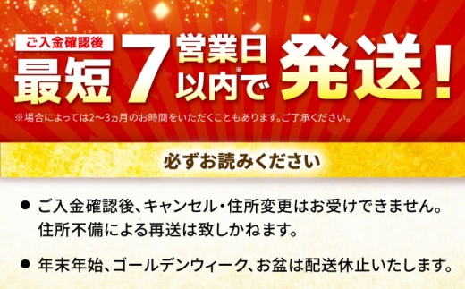 【7営業日以内発送！】 佐賀牛 サーロインステーキ 500g(250g×2) 吉野ヶ里町/丸宗ミート [FDP028]