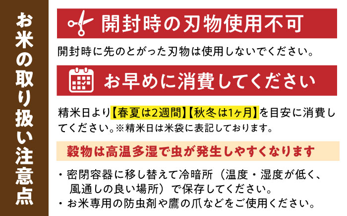 【5kg✕6回定期便】【令和7年産】さがびより 計30kg（5kg✕6回）吉野ヶ里町/増田米穀  [FBM003]