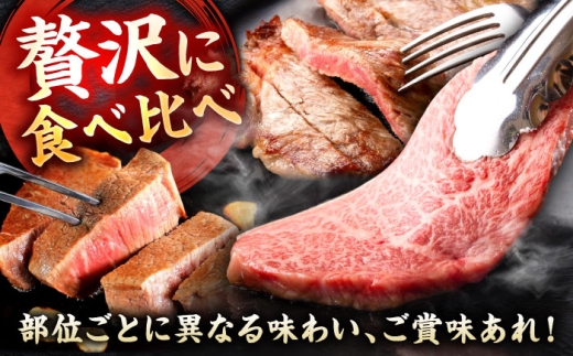 佐賀牛 ステーキ 5種 計500g 食べ比べ セット　吉野ヶ里町/ミートフーズ華松 [FAY120]