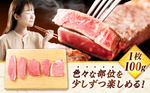 佐賀牛 ステーキ 5種 計500g 食べ比べ セット　吉野ヶ里町/ミートフーズ華松 [FAY120]