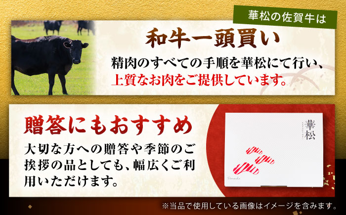 佐賀牛 ステーキ 5種 計500g 食べ比べ セット　吉野ヶ里町/ミートフーズ華松 [FAY120]