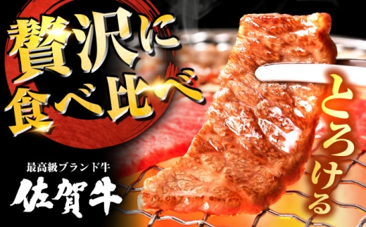 佐賀牛 希少部位 焼肉 3種 計600g 盛り合わせ【霜降り系ジューシー】　吉野ヶ里町/ミートフーズ華松 [FAY115]