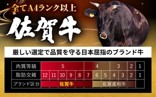 佐賀牛 希少部位 焼肉 4種 計800g 盛り合わせ【霜降り系ジューシー】　吉野ヶ里町/ミートフーズ華松 [FAY117]