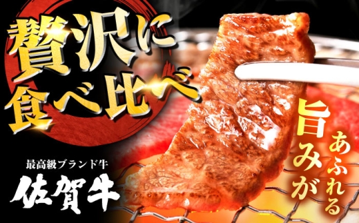 佐賀牛 希少部位 焼肉 4種 計800g 盛り合わせ【赤身系さっぱり】　吉野ヶ里町/ミートフーズ華松 [FAY118]