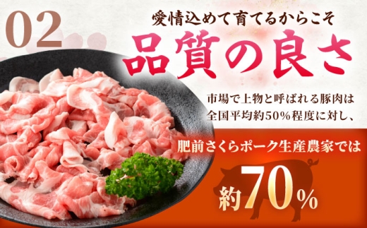 【全6回定期便】肥前さくらポーク 切り落とし 500g × 2パック 計 1kg 切り落とし 豚 豚肉 吉野ヶ里町/上場食肉 [FDQ017]