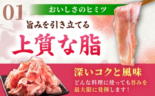 【全12回定期便】肥前さくらポーク 切り落とし 500g × 2パック 計 1kg 切り落とし 豚 豚肉 吉野ヶ里町/上場食肉 [FDQ018]