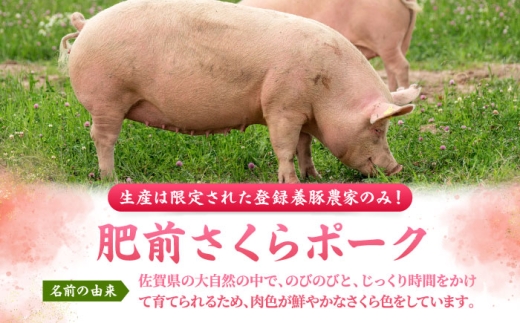 【全12回定期便】肥前さくらポーク 切り落とし 500g × 2パック 計 1kg 切り落とし 豚 豚肉 吉野ヶ里町/上場食肉 [FDQ018]