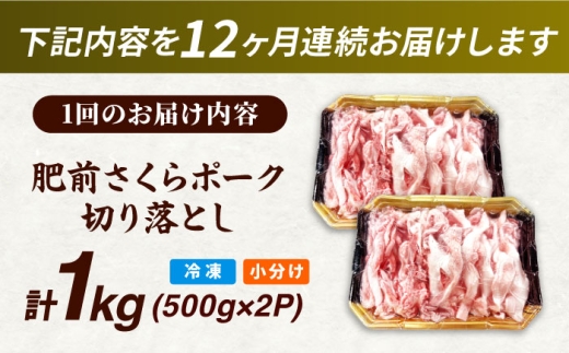 【全12回定期便】肥前さくらポーク 切り落とし 500g × 2パック 計 1kg 切り落とし 豚 豚肉 吉野ヶ里町/上場食肉 [FDQ018]