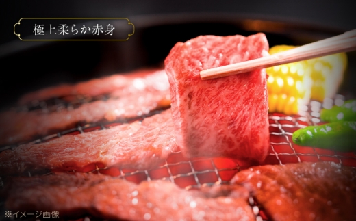 特選 佐賀牛 モモ赤身 500g (焼き肉用) 吉野ケ里町 / 株式会社一 [FEA005]