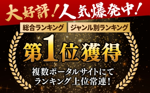 【全9回定期便】 佐賀産和牛 切り落とし 1kg（500g×2P） 吉野ヶ里町/石丸食肉産業  [FBX054]