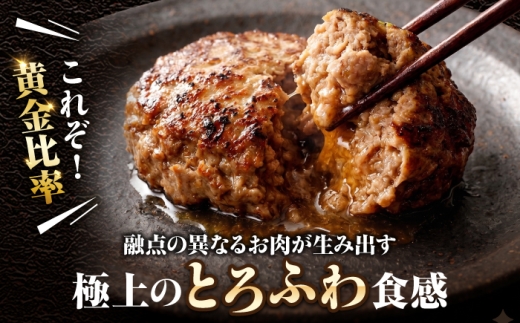 【全5回定期便】 佐賀牛入り 黒毛和牛ハンバーグ 1.4kg（140g×10個） 吉野ヶ里町/石丸食肉産業  [FBX057]