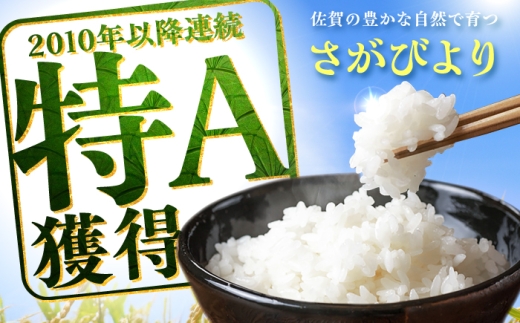 【10kg✕5回定期便】【令和7年産】 さがびより 計50kg（5kg✕2袋） 吉野ヶ里町/増田米穀 [FBM051]