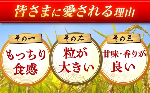 【10kg✕5回定期便】【令和7年産】 さがびより 計50kg（5kg✕2袋） 吉野ヶ里町/増田米穀 [FBM051]