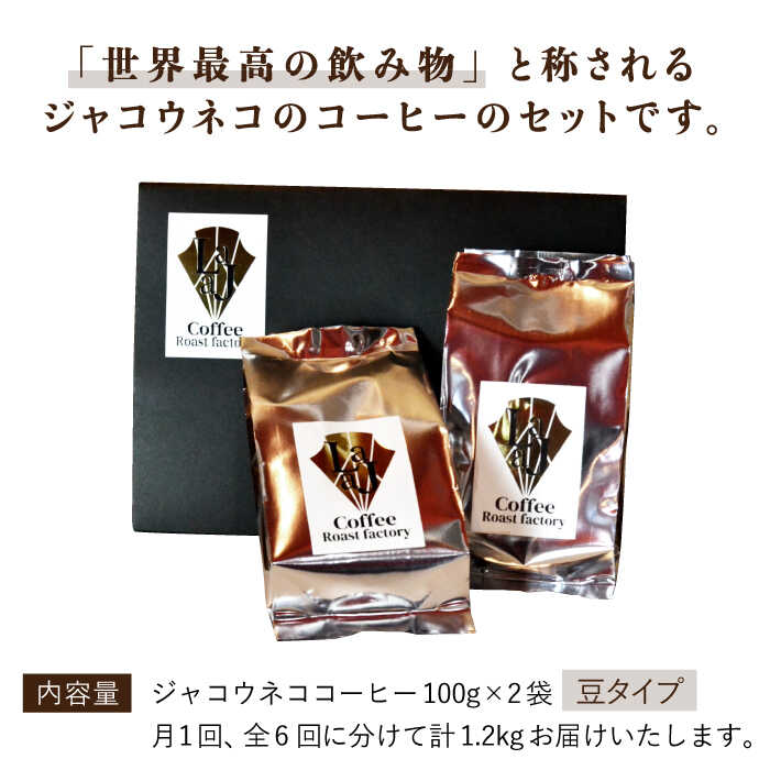 【6回定期便・豆タイプ】ジャコウネココーヒー100g×2（200g）6回合計1.2kg [FBR027]