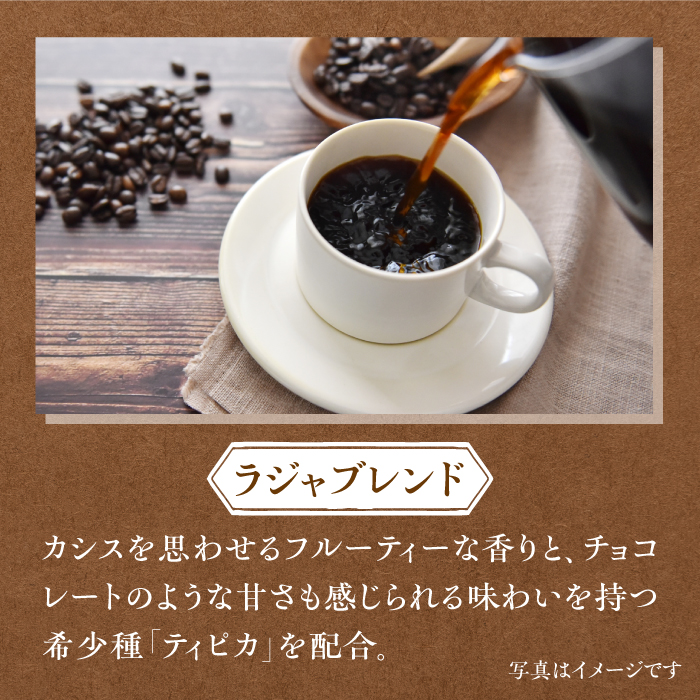 【6回定期便】ジャコウネコ・LAJA・スペシャリティコーヒーセット3種合計400g×6回の計2.4kg [FBR011]