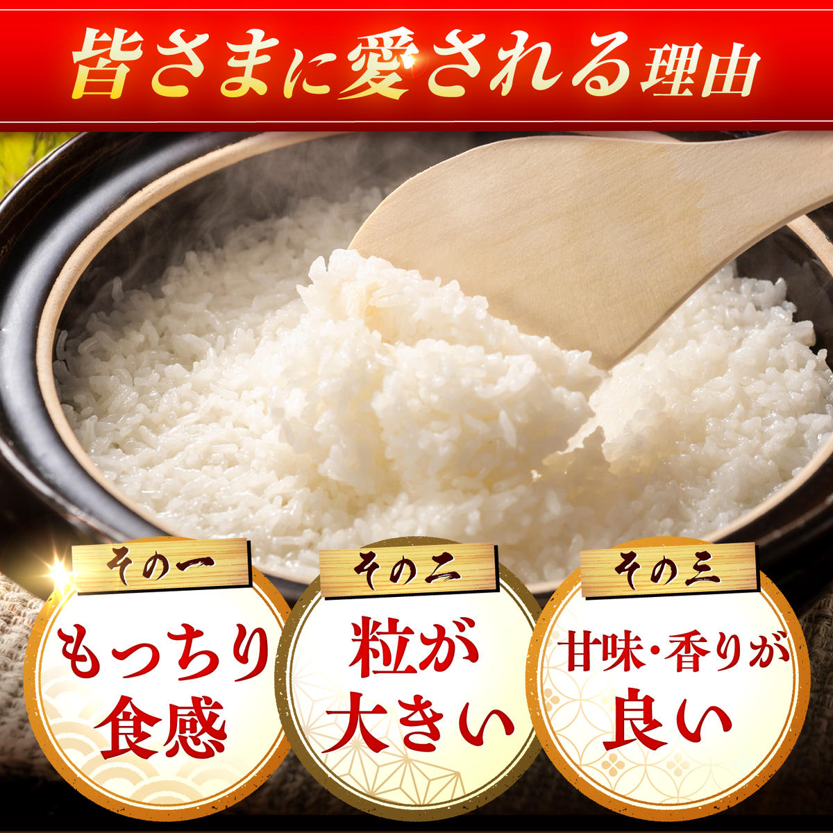 【全3回定期便】さがびより 計30kg（5kg✕2袋）3回定期便【令和7年産】 吉野ヶ里町/増田米穀 [FBM006]