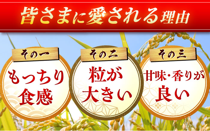 【5kg✕6回定期便】【令和7年産】さがびより 計30kg（5kg✕6回）吉野ヶ里町/増田米穀  [FBM003]